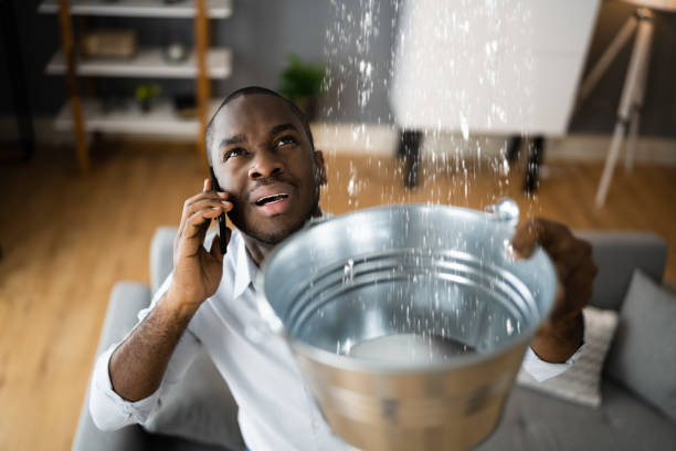 Best Flood restoration services  in South Fallsburg, NY