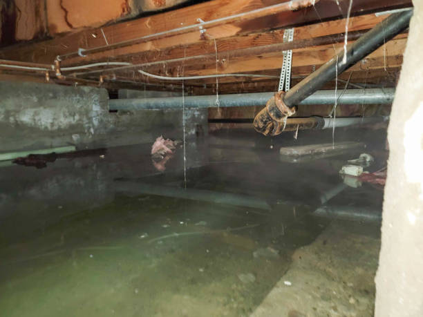 Best Water damage cleanup near me  in South Fallsburg, NY