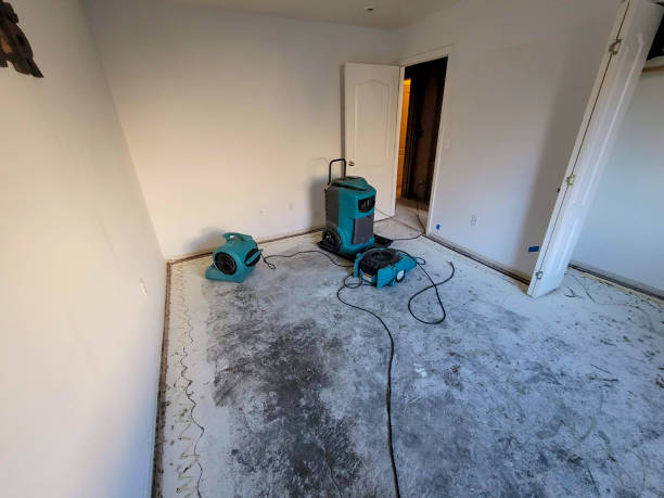 Best Local water damage restoration  in South Fallsburg, NY
