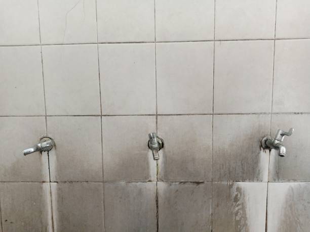 Best Water damage cleanup near me  in South Fallsburg, NY