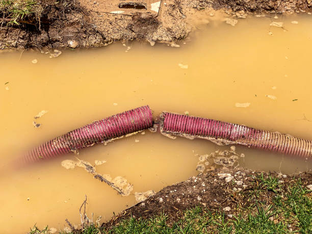 Best Carpet water damage restoration  in South Fallsburg, NY